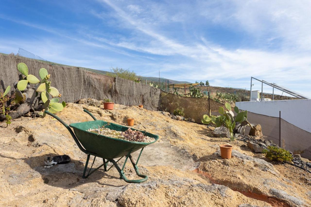 Casa Cueva Gaspara Arico Eksteriør billede